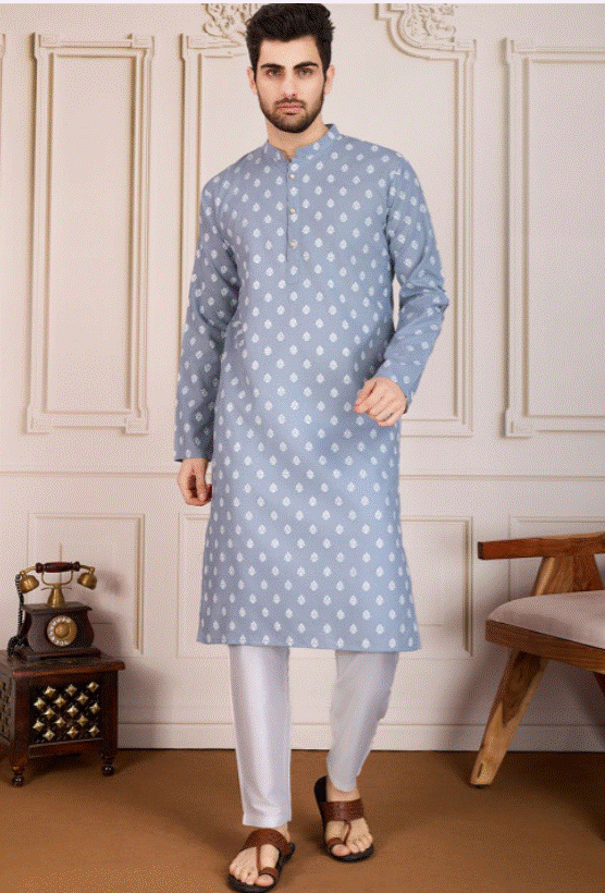 Light Grey Zariya Kurta