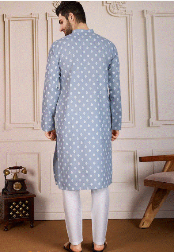 Light Grey Zariya Kurta