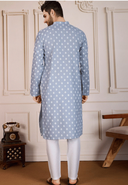 Light Grey Zariya Kurta